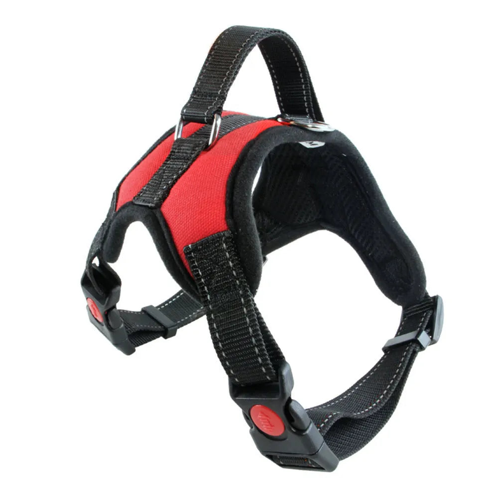 Nylon dog collar and lead set in black, red and camouflage for medium and large dogs, sizes S to XL