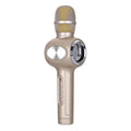 Yaerjia E108 black mobile microphone with built-in speaker for portable karaoke singing