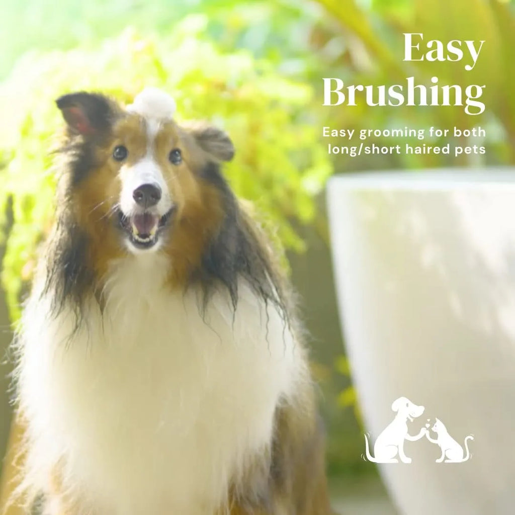 Blue self-cleaning slicker brush for dogs and cats on a wooden surface