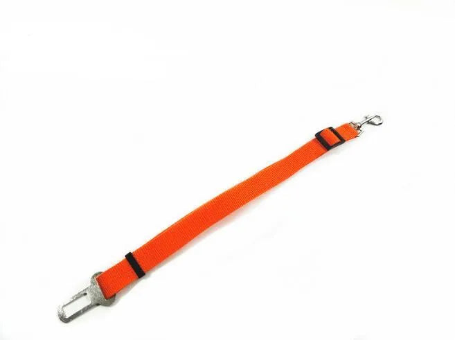Adjustable dog car safety seat belt restraint in orange, 2.5cm width