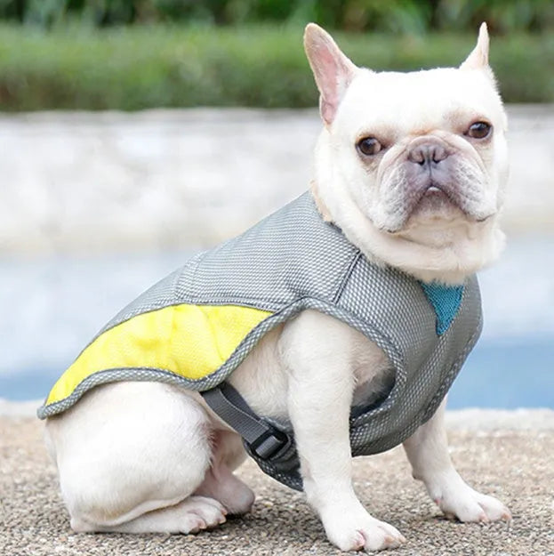 Yellow dog cooling vest with reflective strips on shoulder and back, open back with buckle, on a dog