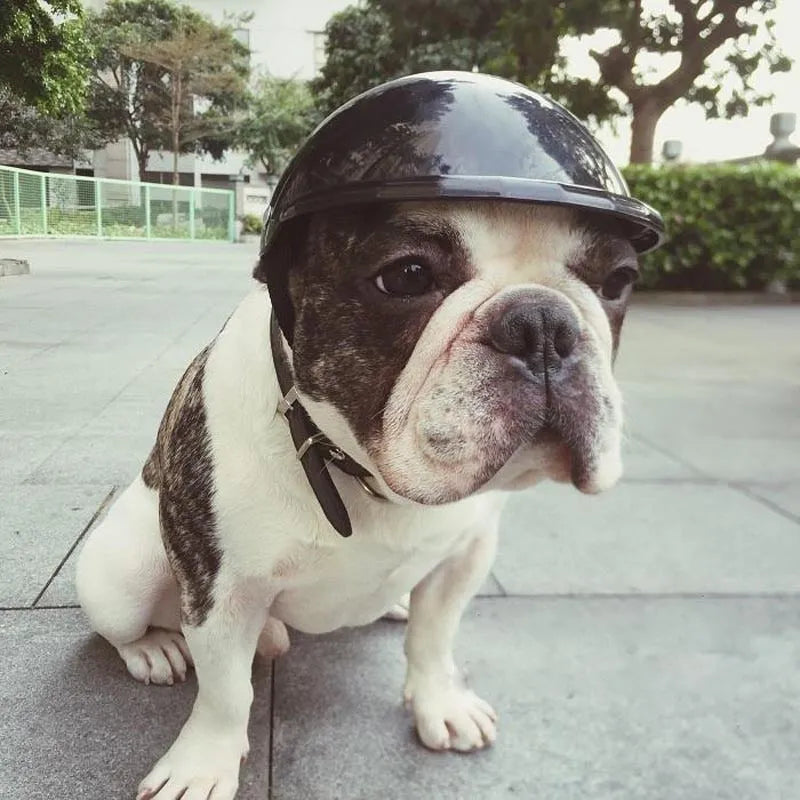 Pet toy helmet in ABS plastic with rivet link belt, available in five colours and three sizes