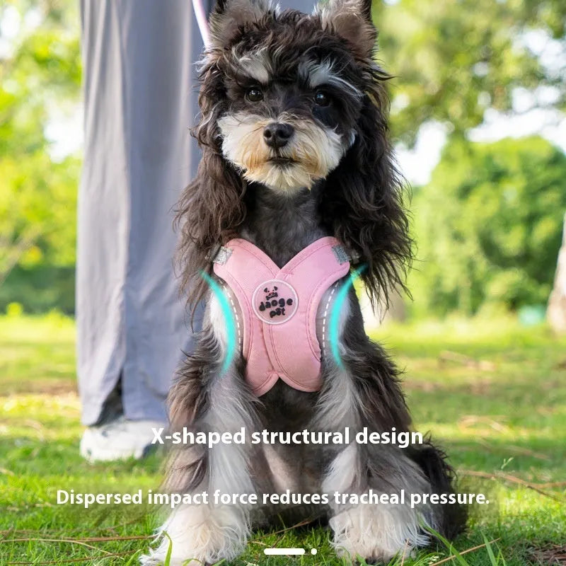 Adjustable dog vest harness with attached hand holding rope in blue colour on S size