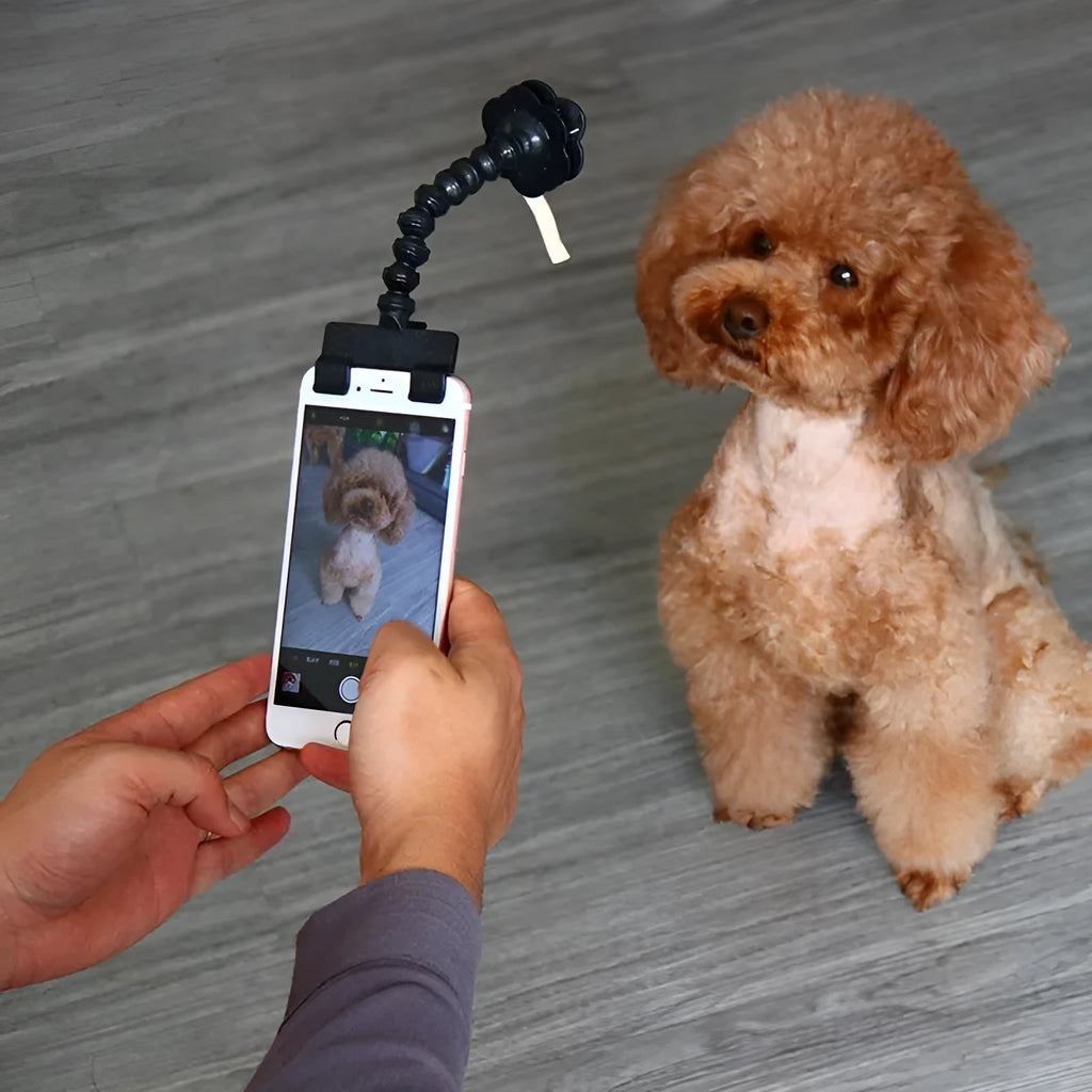 Black pet selfie stick with a square clip and a flower clip on a blister card.