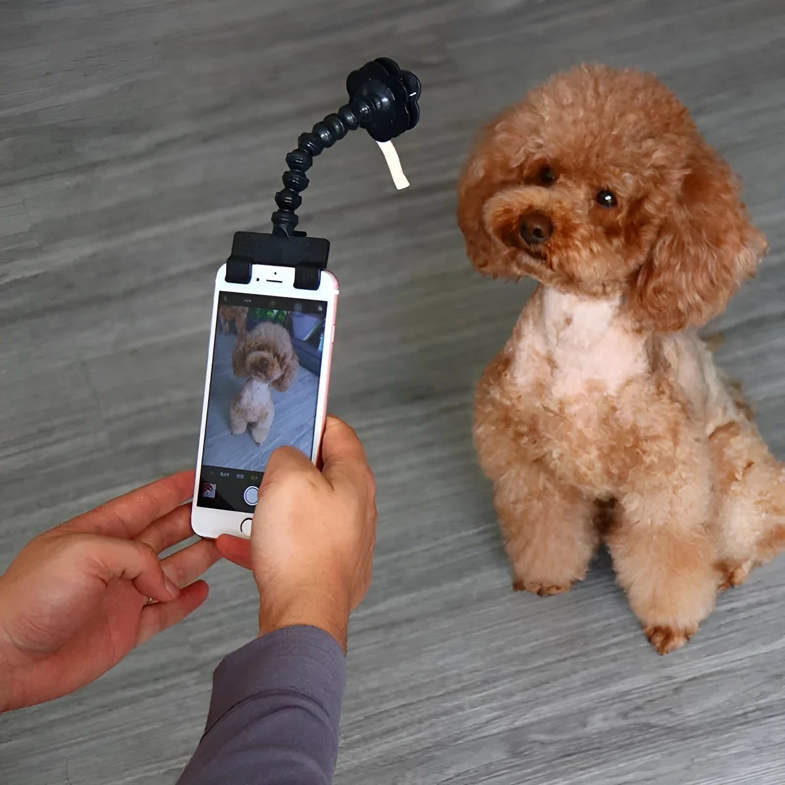 Black pet selfie stick with a square clip and a flower clip on a blister card.