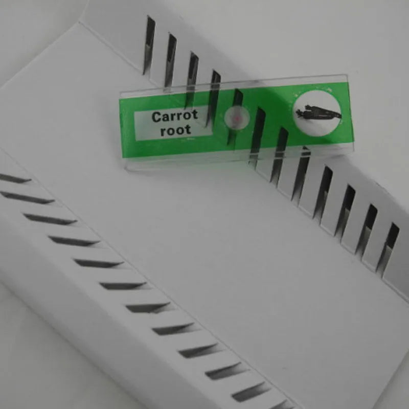48 plastic microscope slides with colour-coded edges showing plant and animal specimens for children's science education