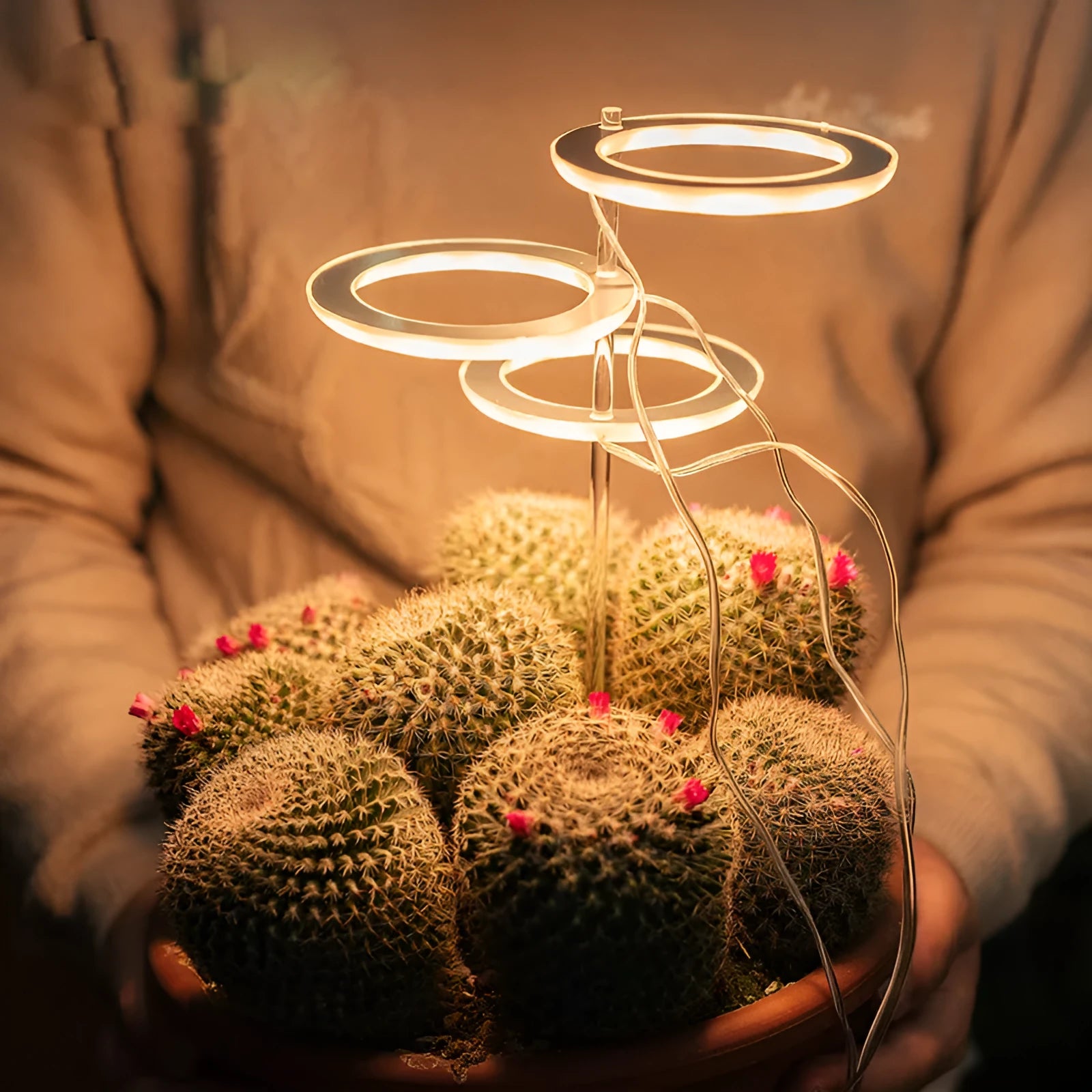 USB-powered full spectrum LED plant grow light with acrylic stick, shown in yellow light.