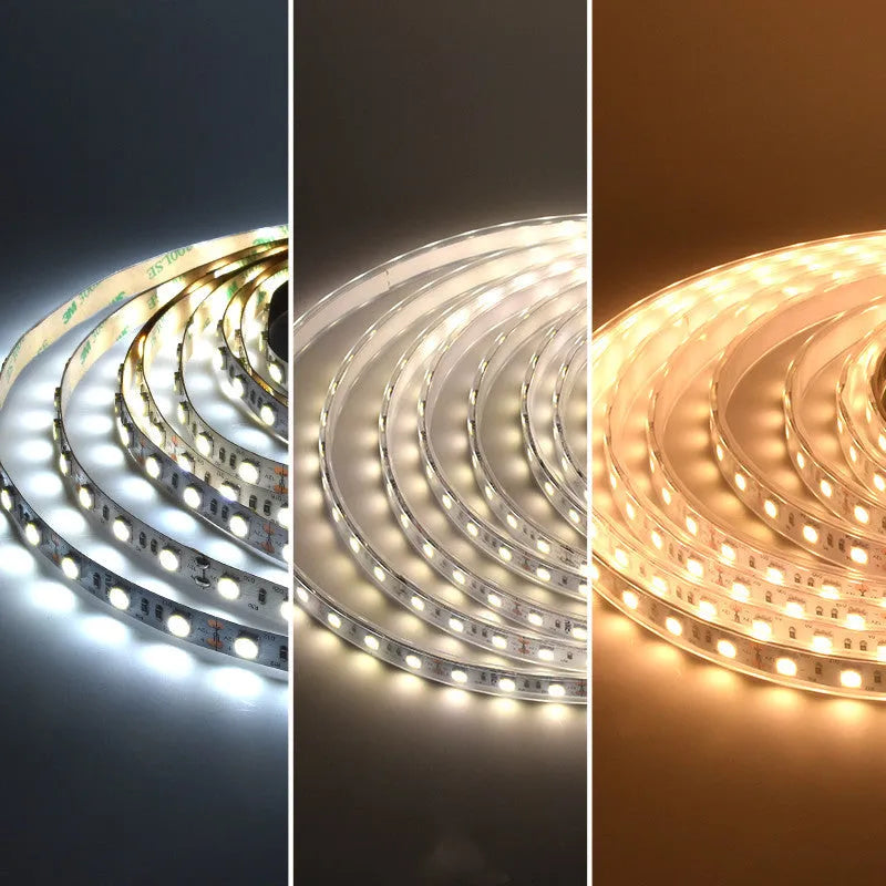 12V LED light strip in white, available as 2835 with 120 LEDs or 5050 with 60 LEDs per metre