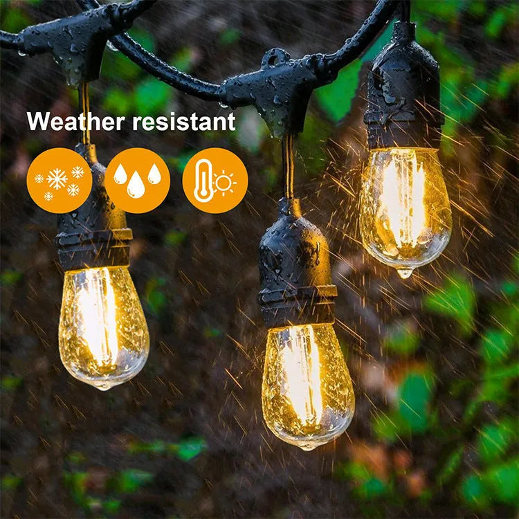 Black decoration light string with bulbs for indoor and outdoor illumination