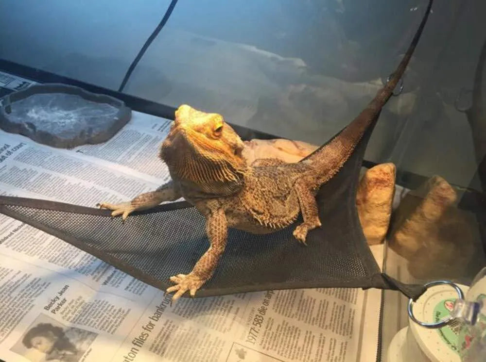 Set of two reptile hammocks in green with sucker mounts, placed at angles inside a glass terrarium