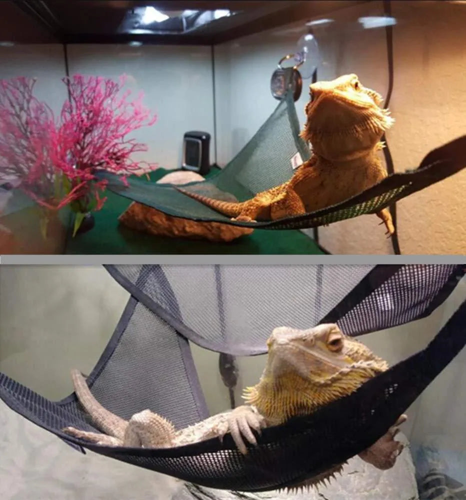 Set of two reptile hammocks in green with sucker mounts, placed at angles inside a glass terrarium