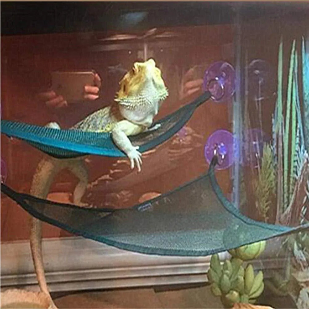 Set of two reptile hammocks in green with sucker mounts, placed at angles inside a glass terrarium