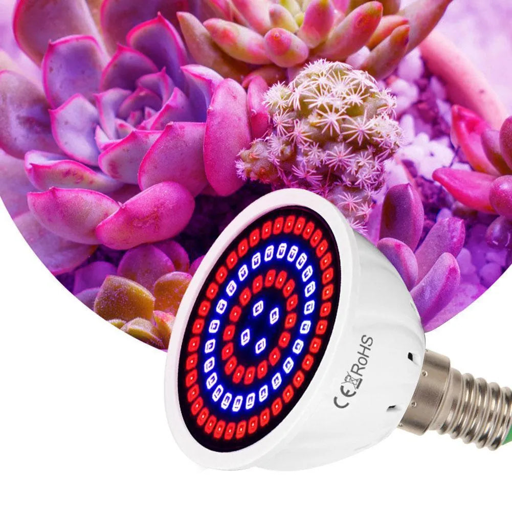 White LED plant grow light with 80 beads for indoor potted plant illumination
