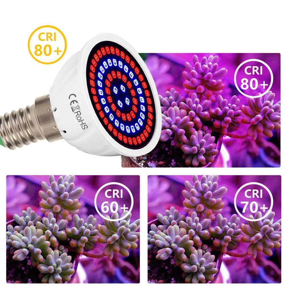 White LED plant grow light with 80 beads for indoor potted plant illumination