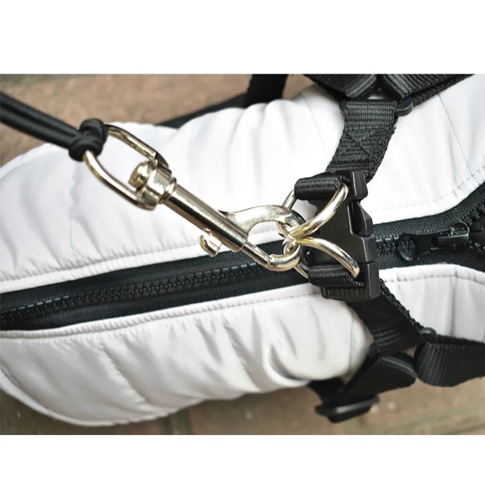 Black stainless steel dog bike leash with 44cm handle and 55cm rope attached to bicycle