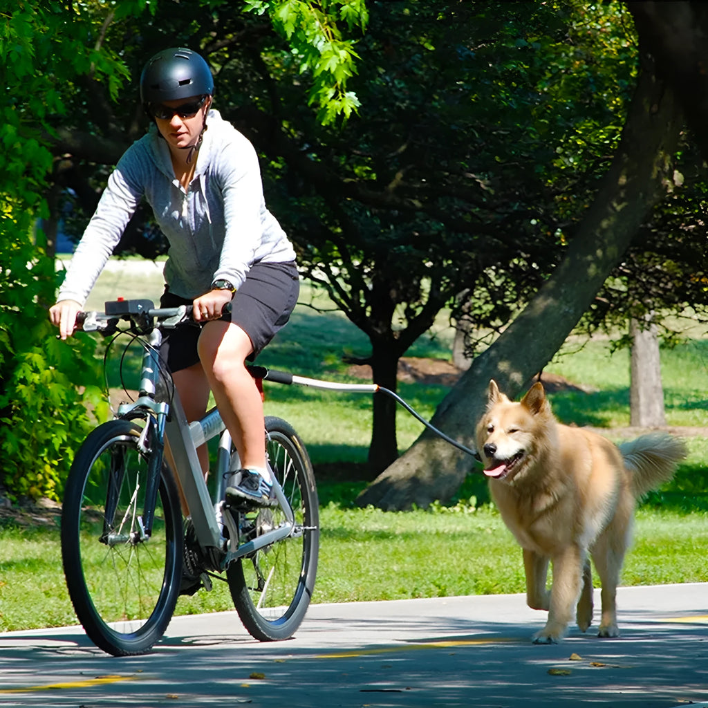 Black stainless steel dog bike leash with 44cm handle and 55cm rope attached to bicycle