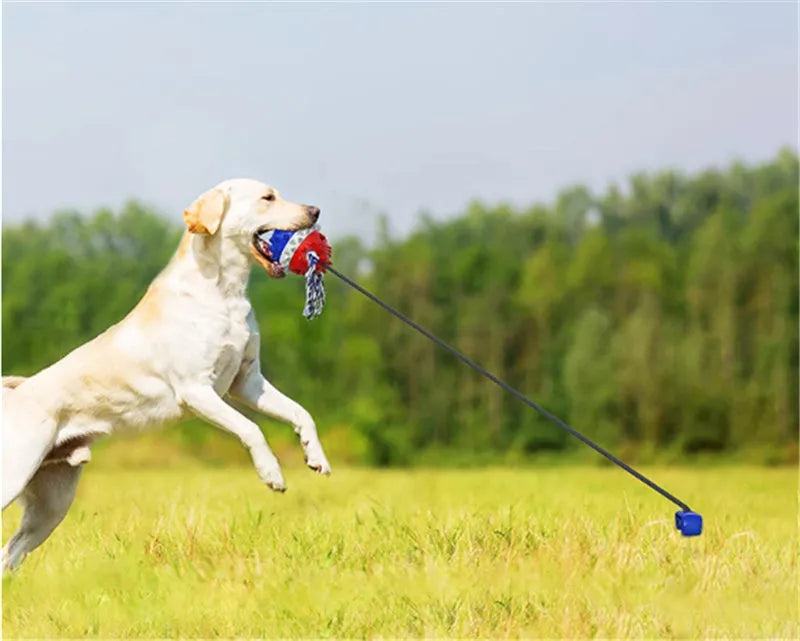 TPR dog teething toy with draw rope and ball in bright yellow or American blue