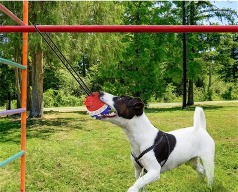 TPR dog teething toy with draw rope and ball in bright yellow or American blue