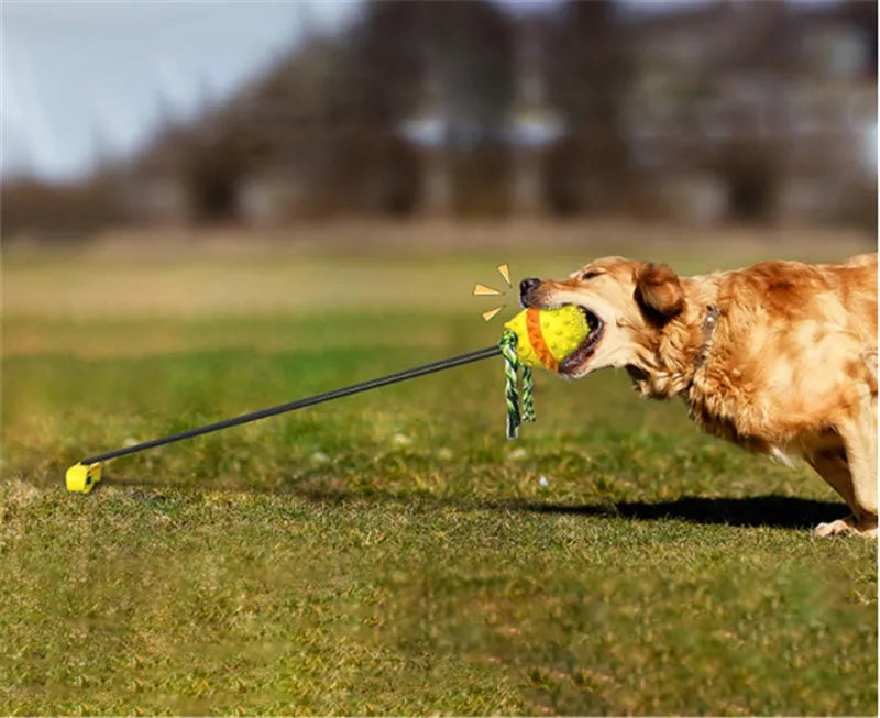 TPR dog teething toy with draw rope and ball in bright yellow or American blue
