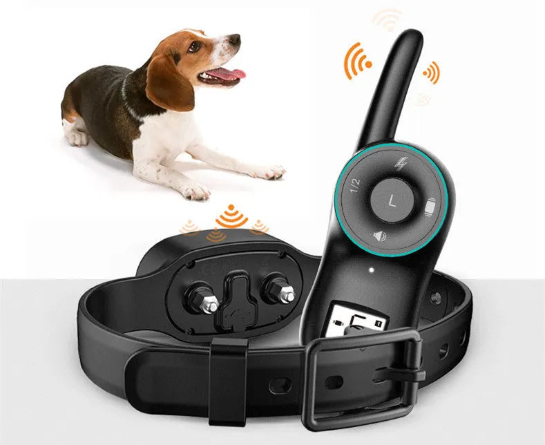 Black and orange waterproof rechargeable remote dog training collar with handheld transmitter