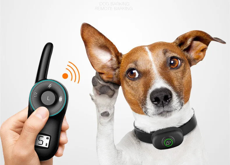 Black and orange waterproof rechargeable remote dog training collar with handheld transmitter