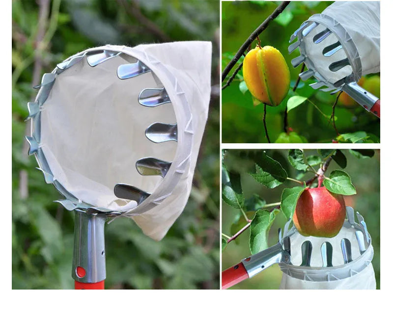 Steel frame fruit picker tool with a cloth bag catcher for picking citrus, pears and peaches.