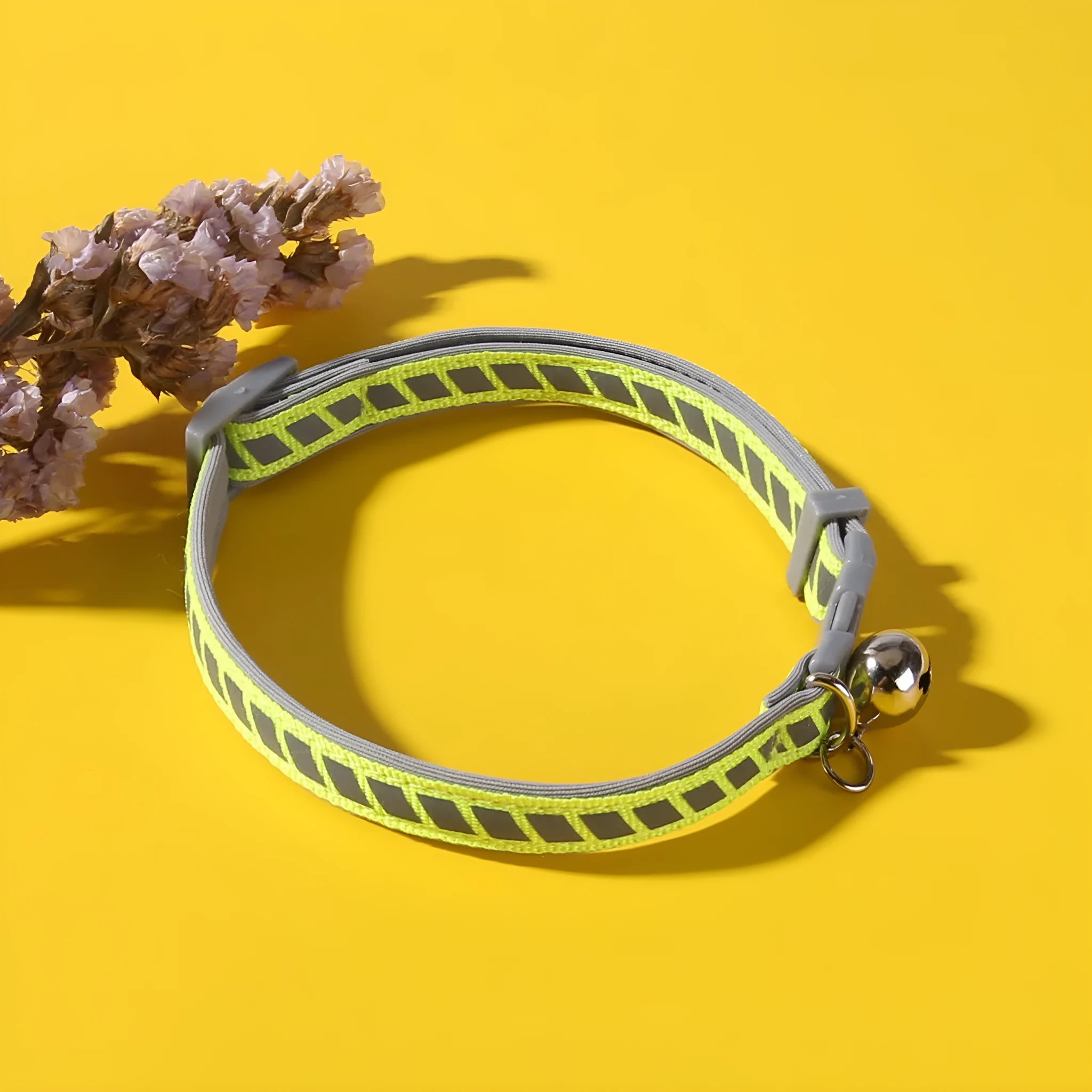 Adjustable reflective plastic buckle pet collar in green and orange with resin buckle and sponge interior, 20-34cm neck fit