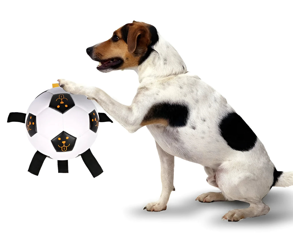 White 17cm TPU dog training ball with attached rope and inflatable tube, 300g pet ball toy.