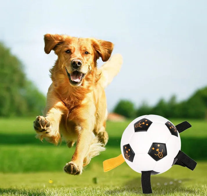 White 17cm TPU dog training ball with attached rope and inflatable tube, 300g pet ball toy.