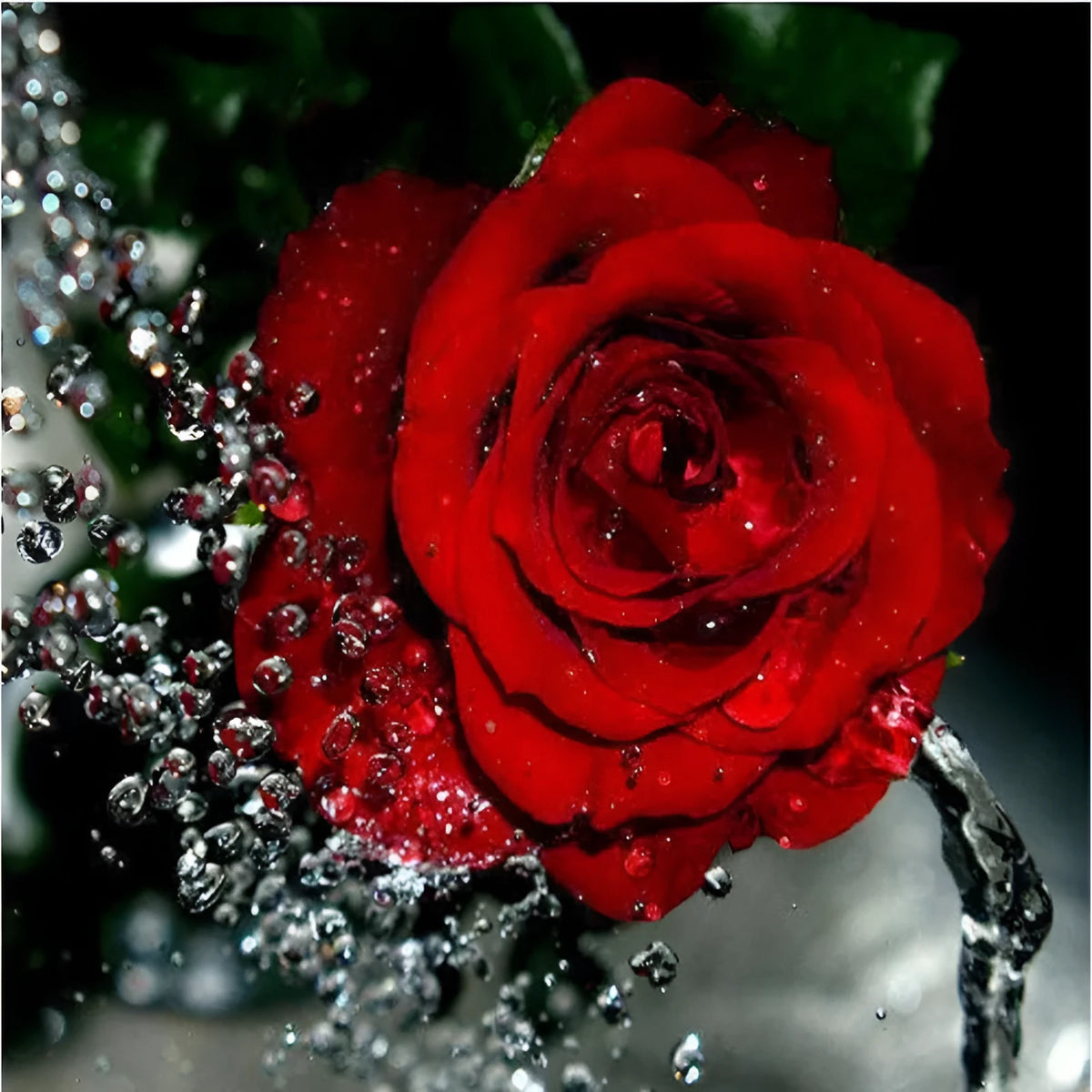 Frameless red rose canvas painting on linen measuring 40x50 cm