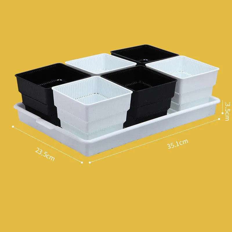 Meishi controlled root flower pot set with black tray and multiple white resin pots for succulent planting