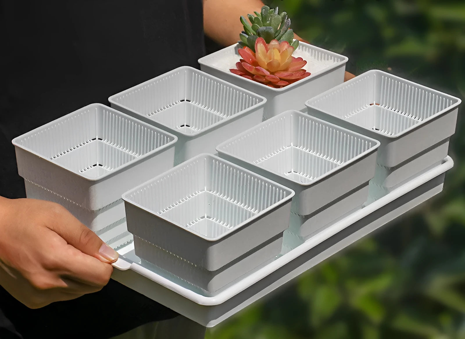 Meishi controlled root flower pot set with black tray and multiple white resin pots for succulent planting