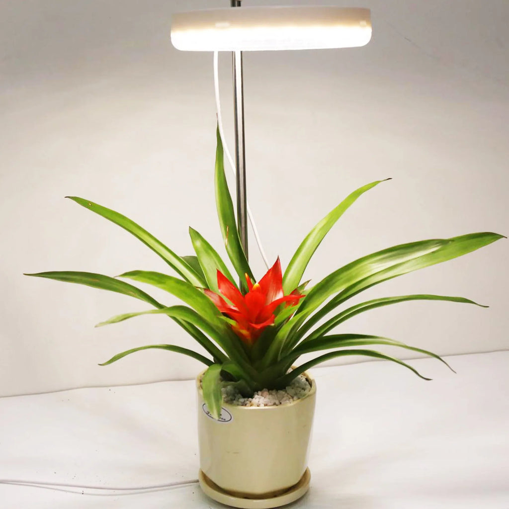 Full spectrum LED plant growth lamp with PC shell on desk with indoor plants