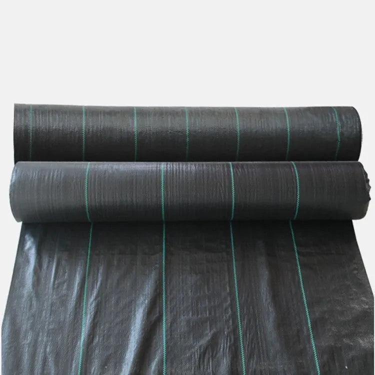 Black plastic woven weed-proof cloth for farmland and greenhouse weed suppression