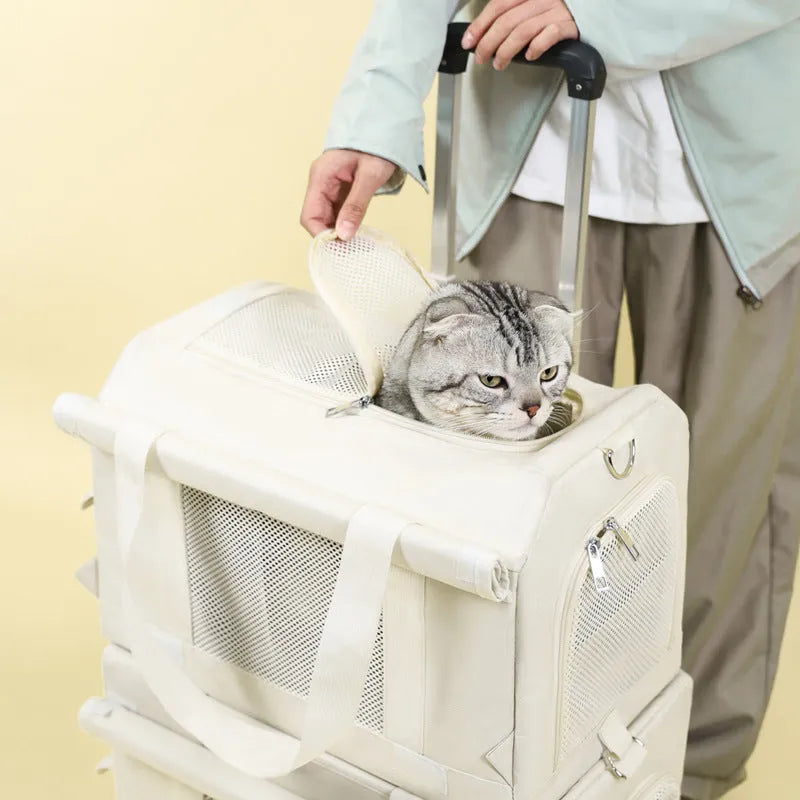 Pet trolley double-deck bus shape cat carrier bag in brown nylon with wheels and top handle