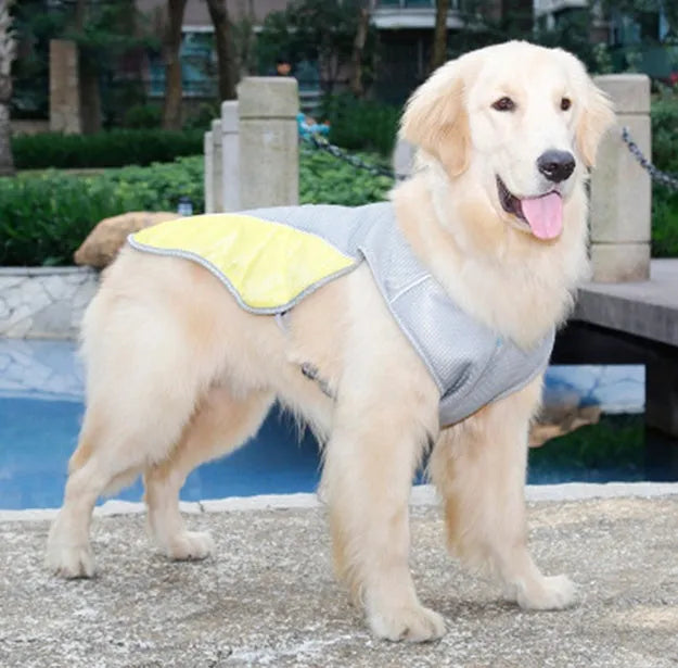 Yellow dog cooling vest with reflective strips on shoulder and back, open back with buckle, on a dog