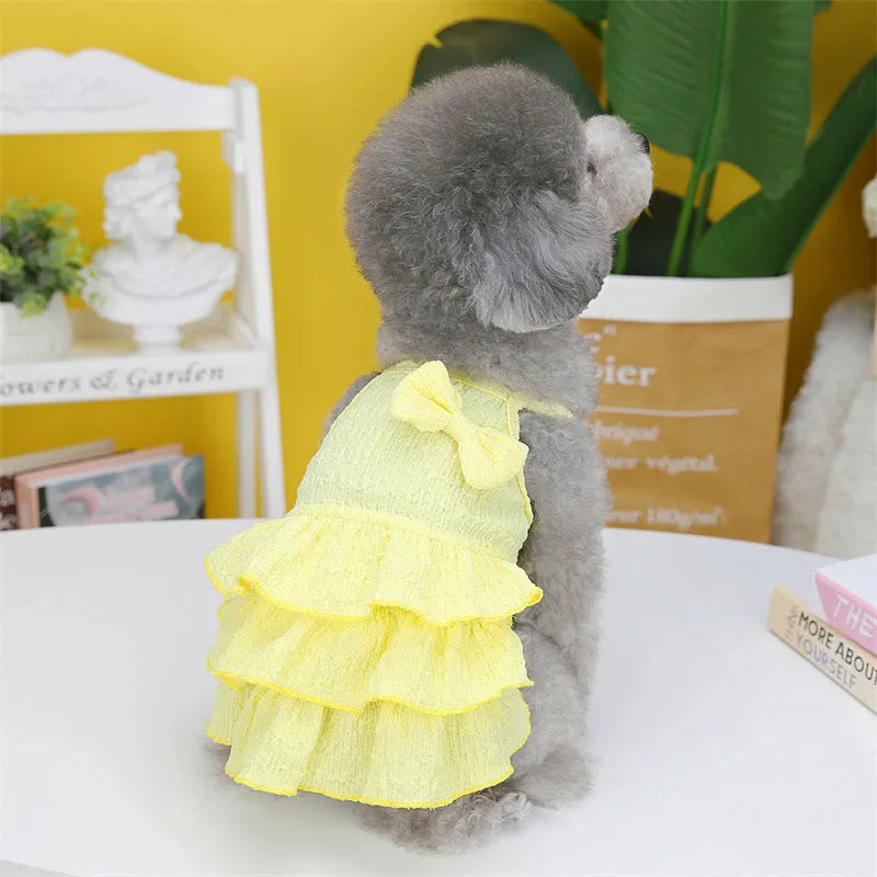 Small dog wearing thin polyester princess dress with layered candy skirt in water green colour