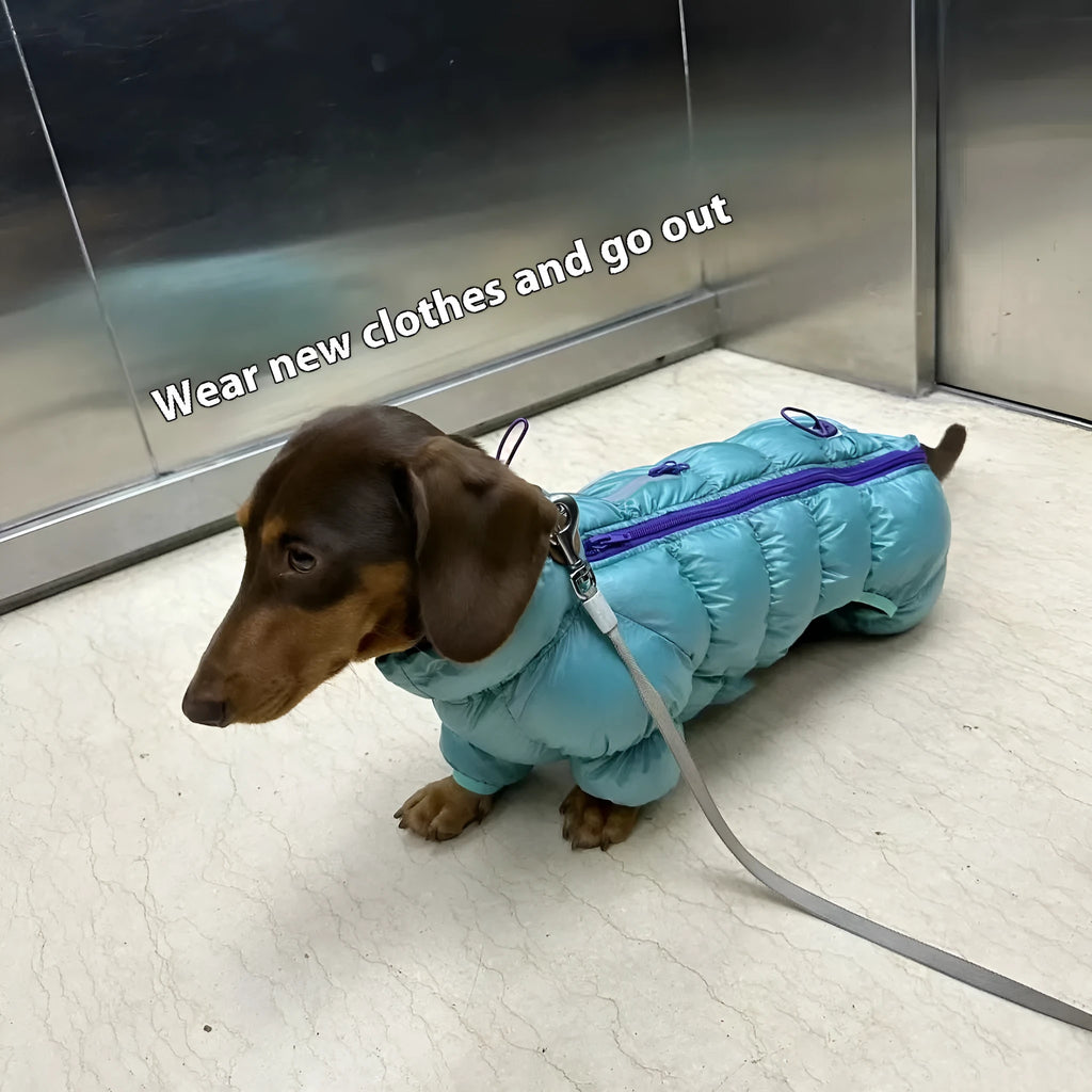 Blue four-legged pet thermal cotton coat with S to XXL size options for autumn and winter
