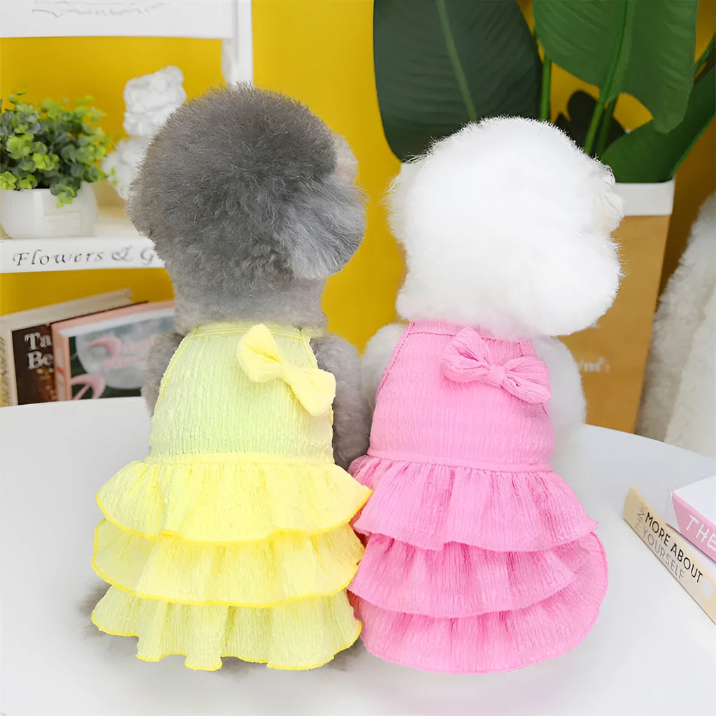Small dog wearing thin polyester princess dress with layered candy skirt in water green colour