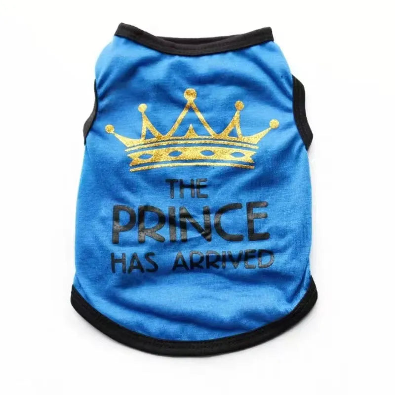 Cotton puppy vest for summer in multiple colour options on a small dog
