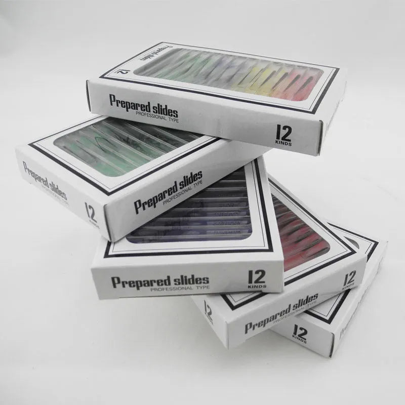 48 plastic microscope slides with colour-coded edges showing plant and animal specimens for children's science education