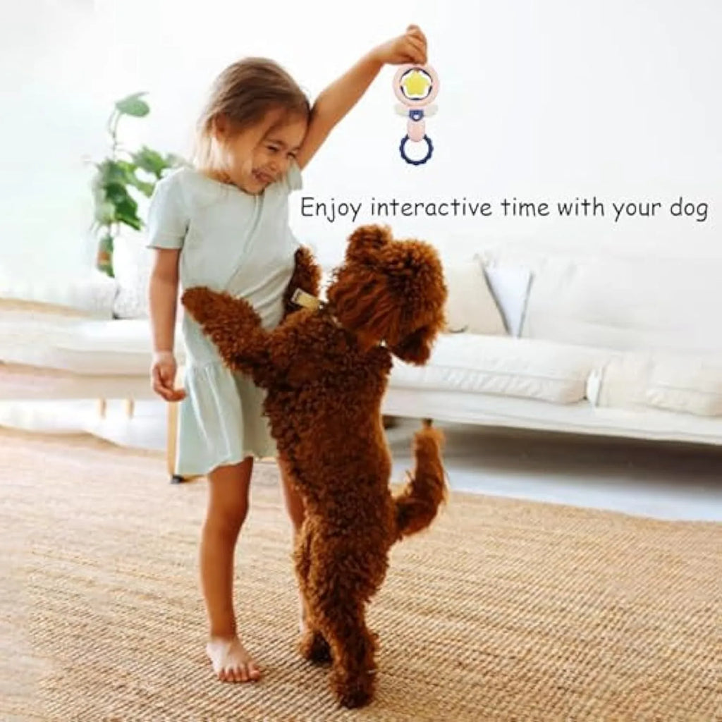 Four interactive dog toys for dental care and boredom, showing durable construction and safety features