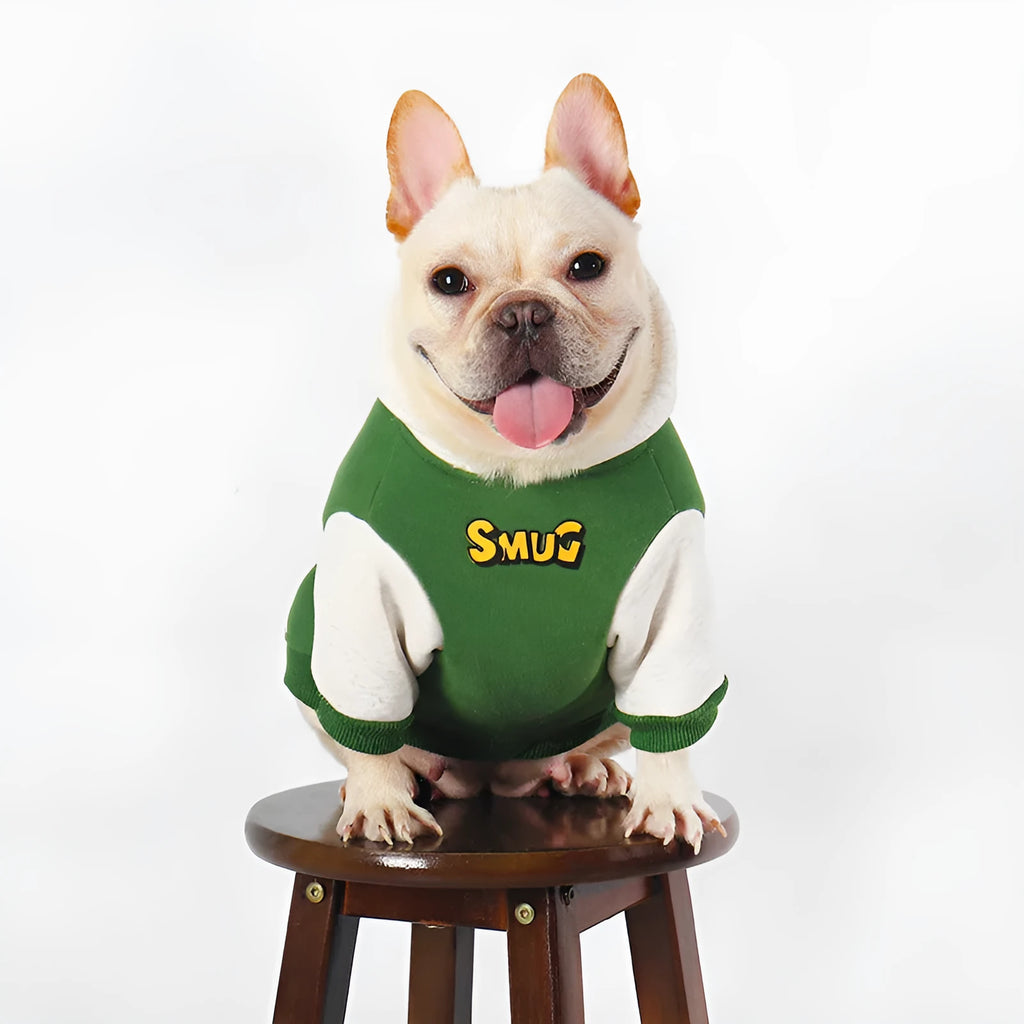 Green cotton dog jumper for autumn and winter wear in sizes L to 4XL
