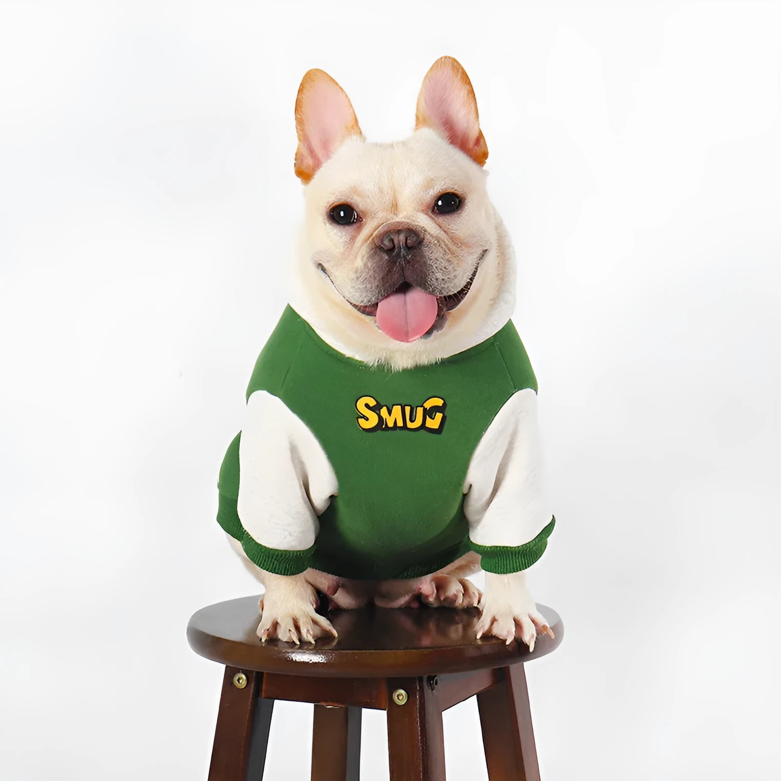 Green cotton dog jumper for autumn and winter wear in sizes L to 4XL