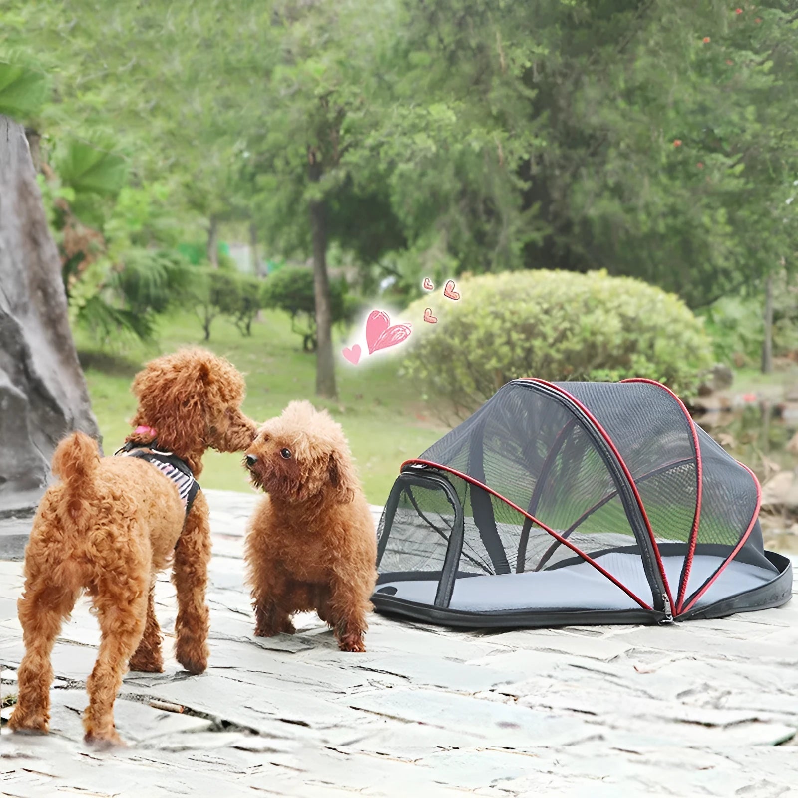 Folding cloth cat tent with half mesh panels in black or blue colour options