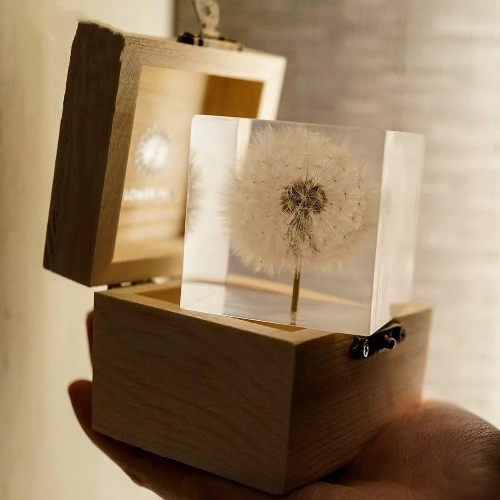 Clear 5cm resin cube containing a preserved white dandelion flower on a wooden USB charging base.