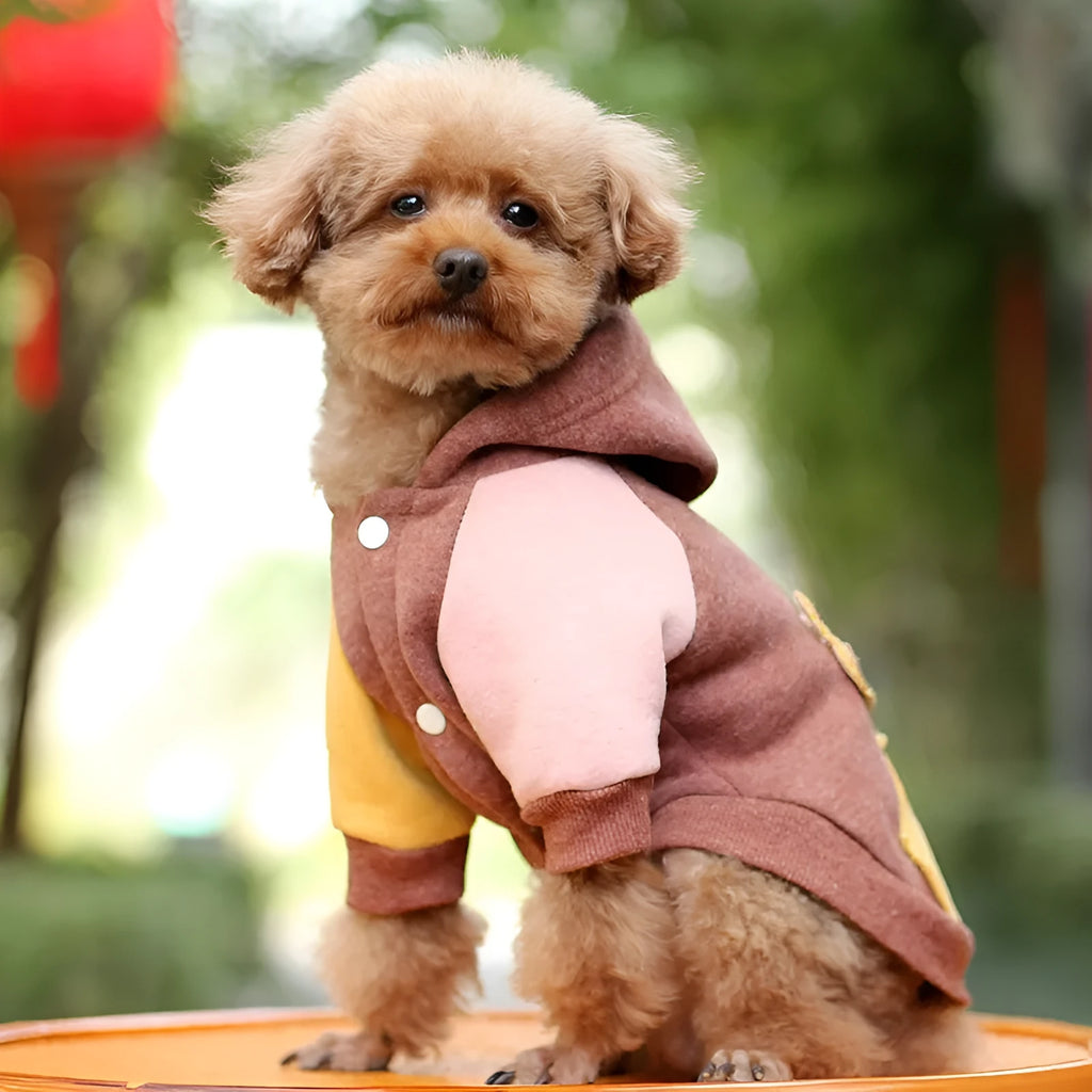 Brown cotton pet dog sweatshirt shown in size M with pullover design