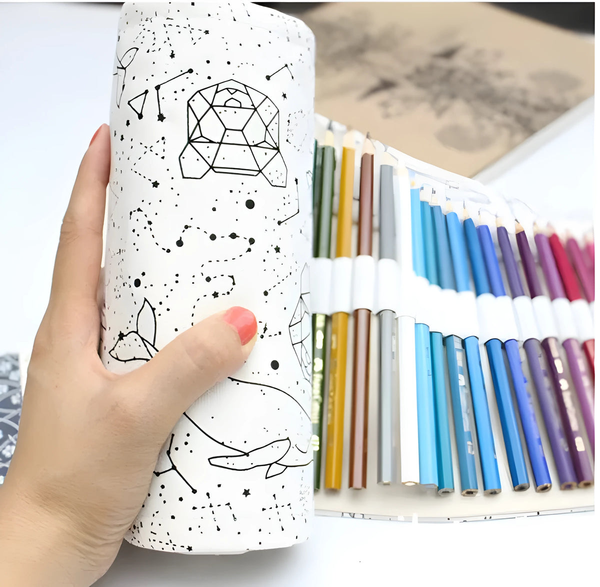 Canvas roll-up pencil case in 36, 48 or 72 hole sizes for coloured pencils and brushes
