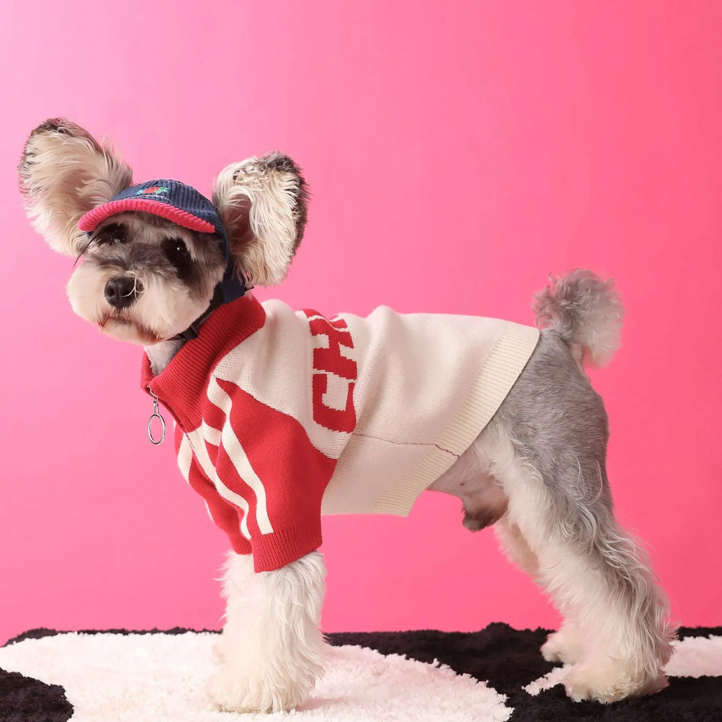 Red wool sports cardigan for dogs on mannequin showing casual pet clothing