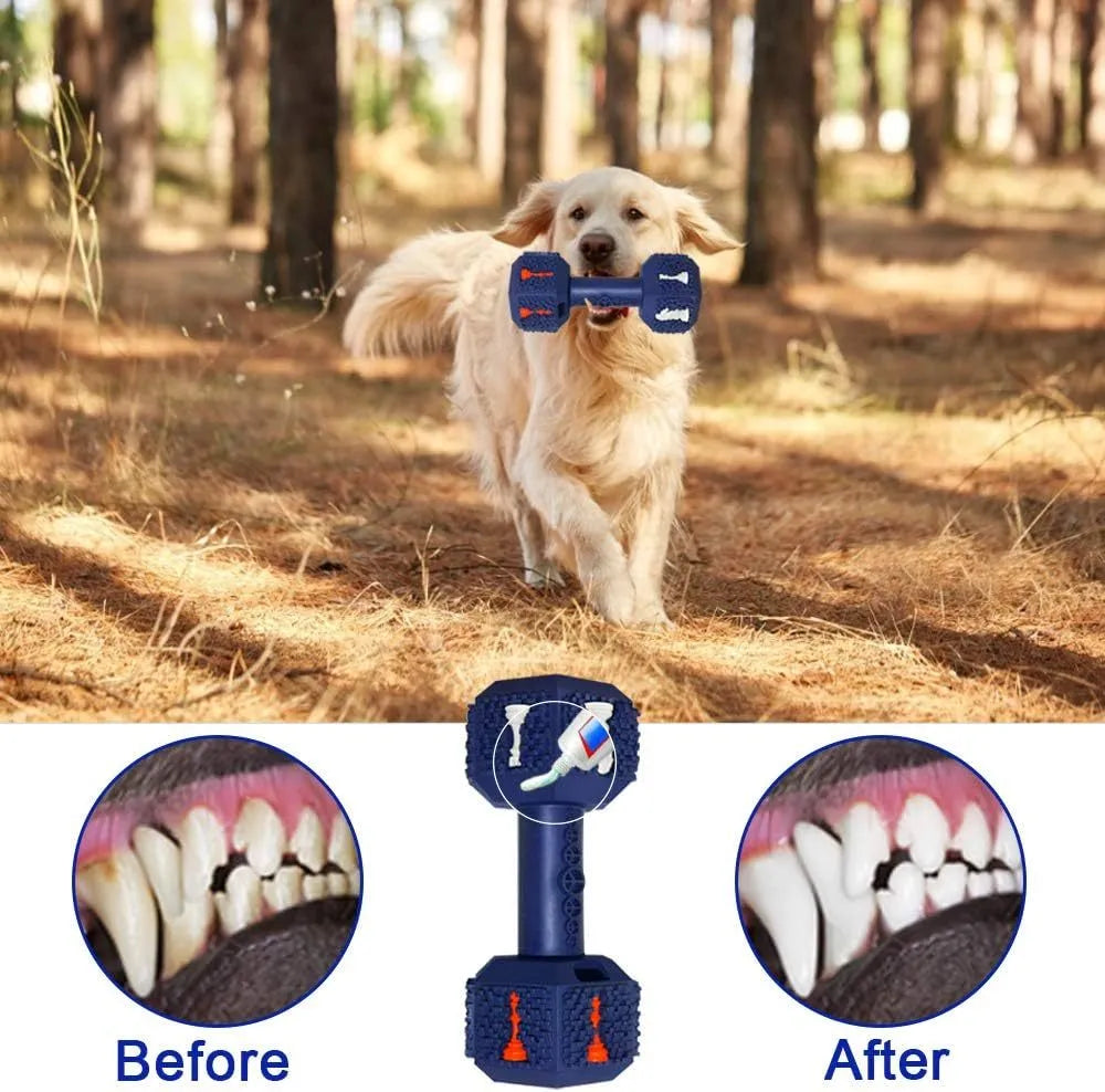 Blue hollow dumbbell dog chew toy with textured 3D particle surface on a white background.